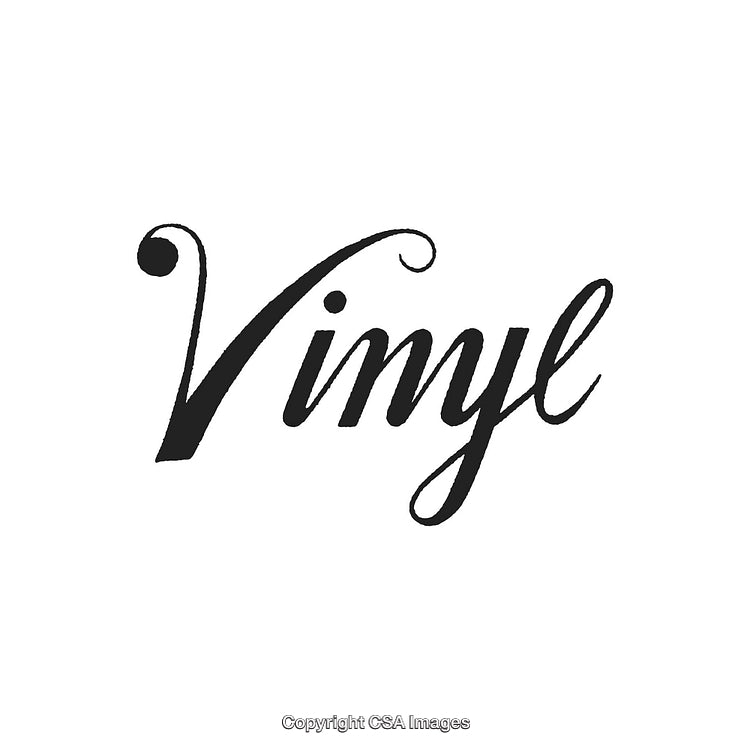 Elegant Typography Design Featuring the Word Vinyl in Cursive Style