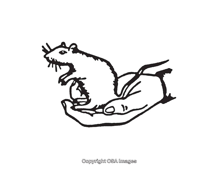 Illustration of Mouse Being Held in Hand in Black and White Style