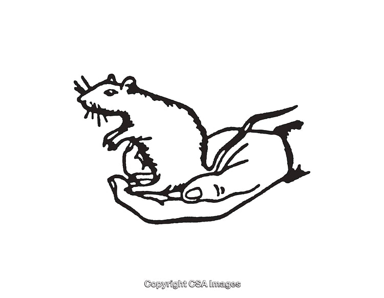 Illustration of Mouse Being Held in Hand in Black and White Style