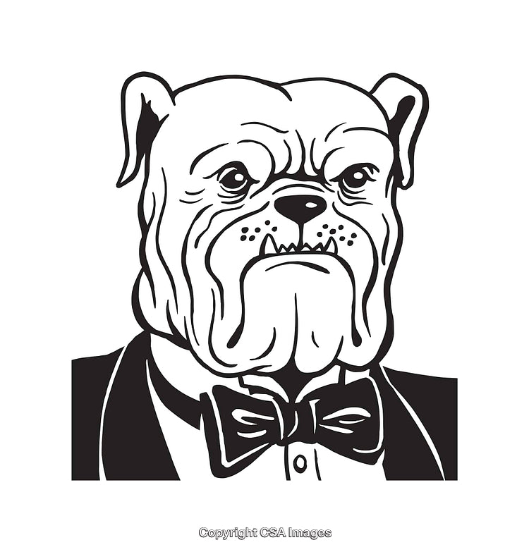 Stylish Bulldog in Tuxedo Line Art Black and White Illustration