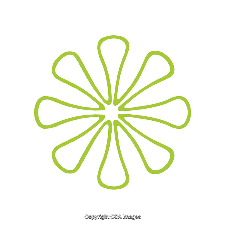 Unique Green Dingbat Shape with Abstract Petal Pattern Design