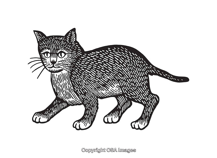 Black and White Line Art Illustration of a Cat in Motion