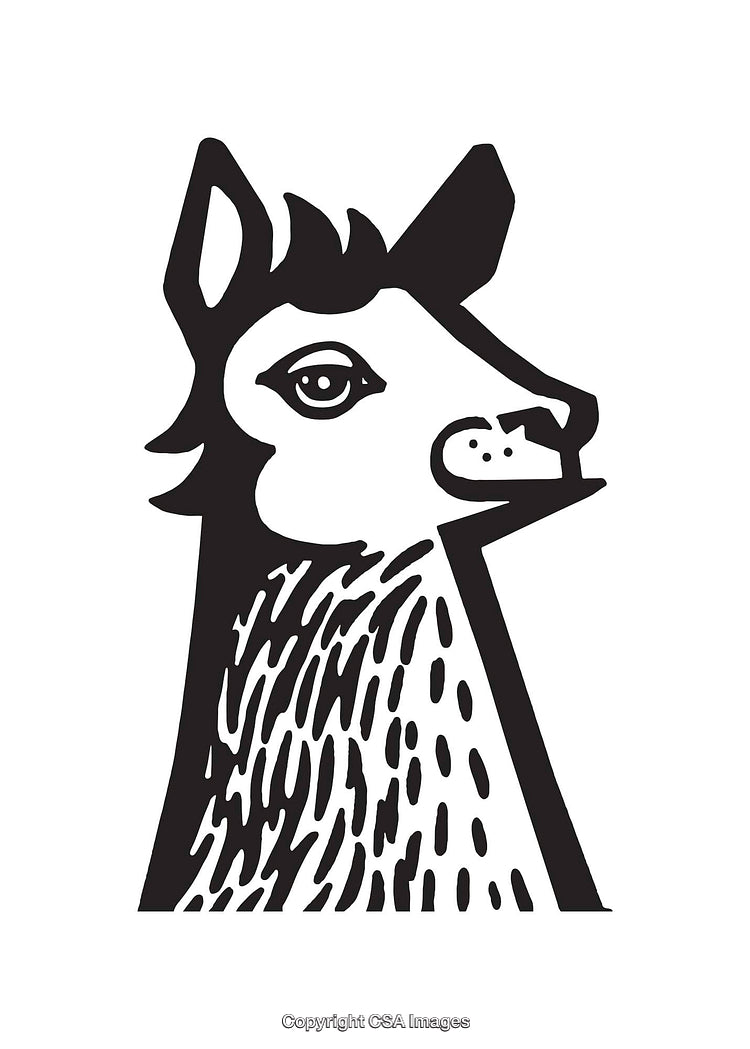 Monochrome Line Art Illustration of a Llama's Head in Profile View