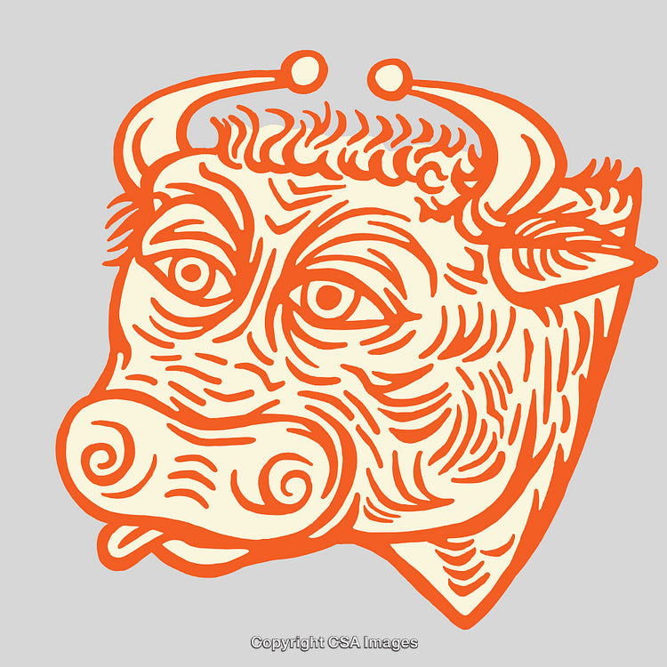 Vivid Graphic of Bull Line Art Illustration in Orange and Cream Tones