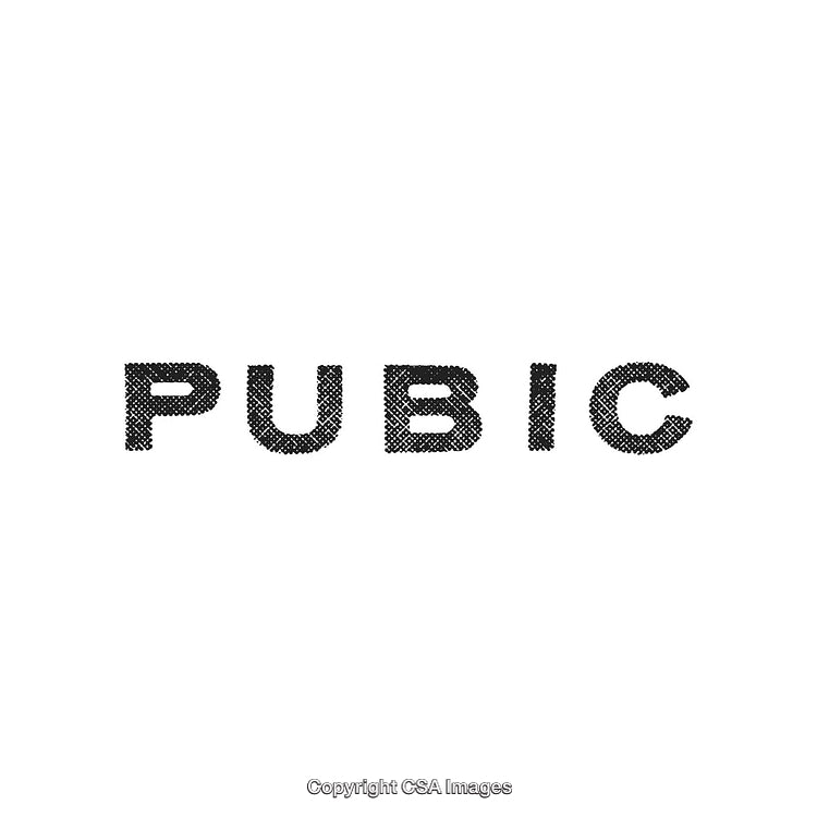 Text Design Featuring the Word 'Pubic' in Bold Black Fonts on White Background