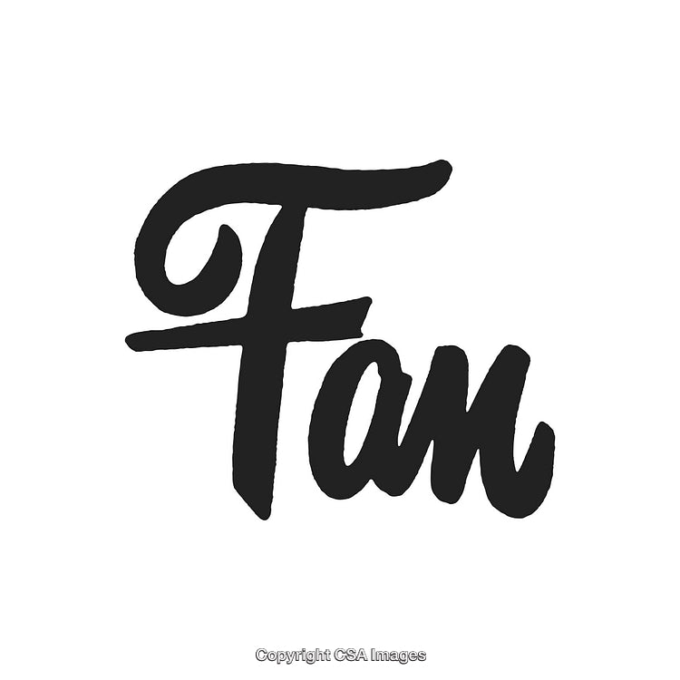 Elegant Handwritten Typography of the Word 'Fan' in Black on White Background
