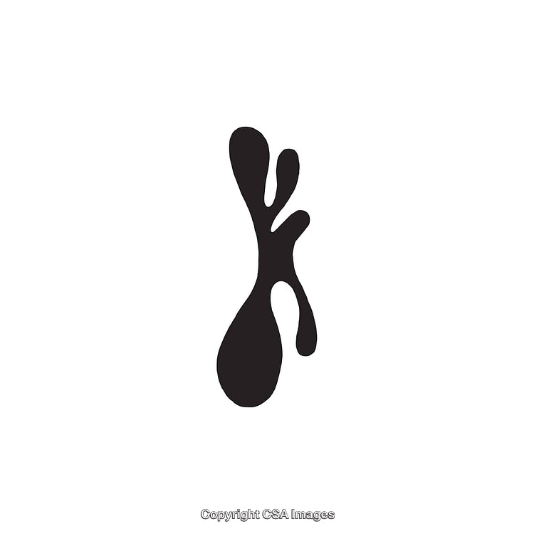 Minimalist Black Inkblot Dingbat on a White Background