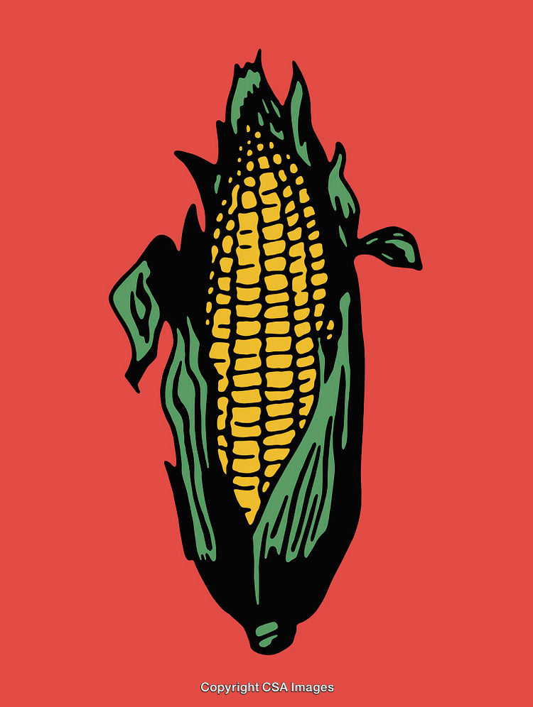 Detailed Colorful Illustration of Corn with Vivid Red Background