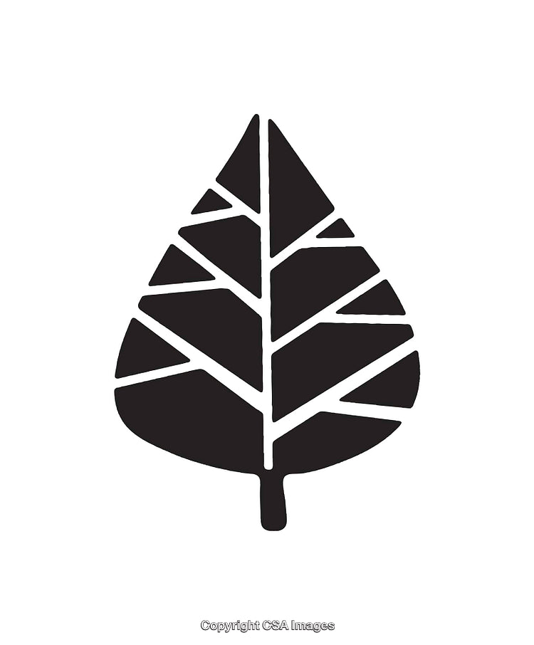 Geometric Black and White Leaf Design with Modern Line Art