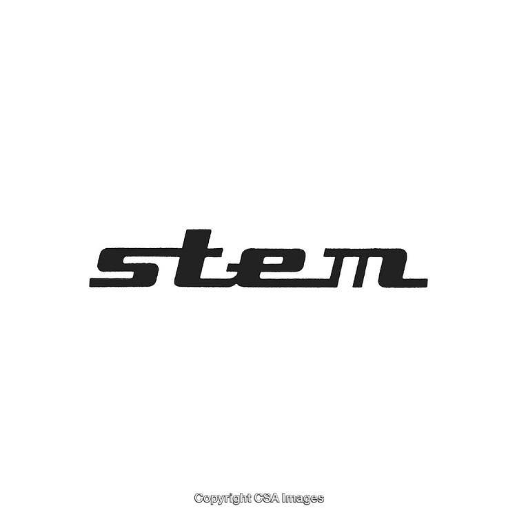 Stylish Modern Logo Design Featuring the Word 'Stem' in Bold Font