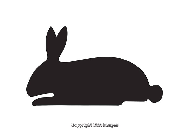 Silhouette of a Rabbit in Minimalist Black and White Style