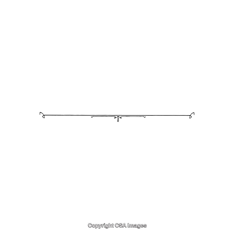 Elegant Minimalist Line Separator with Delicate Ornamental Design