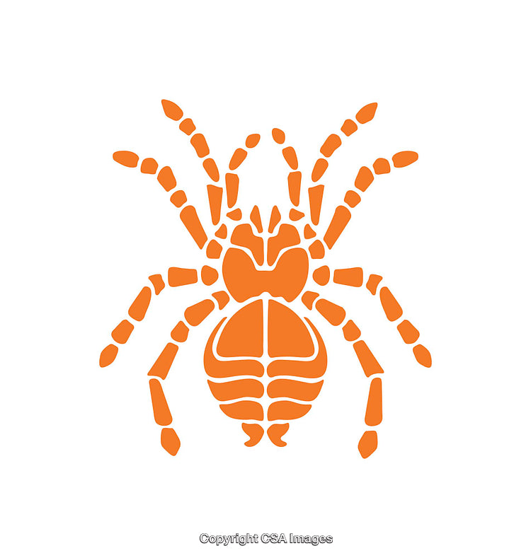 Stylized Orange Spider Icon with Simple Geometric Shapes