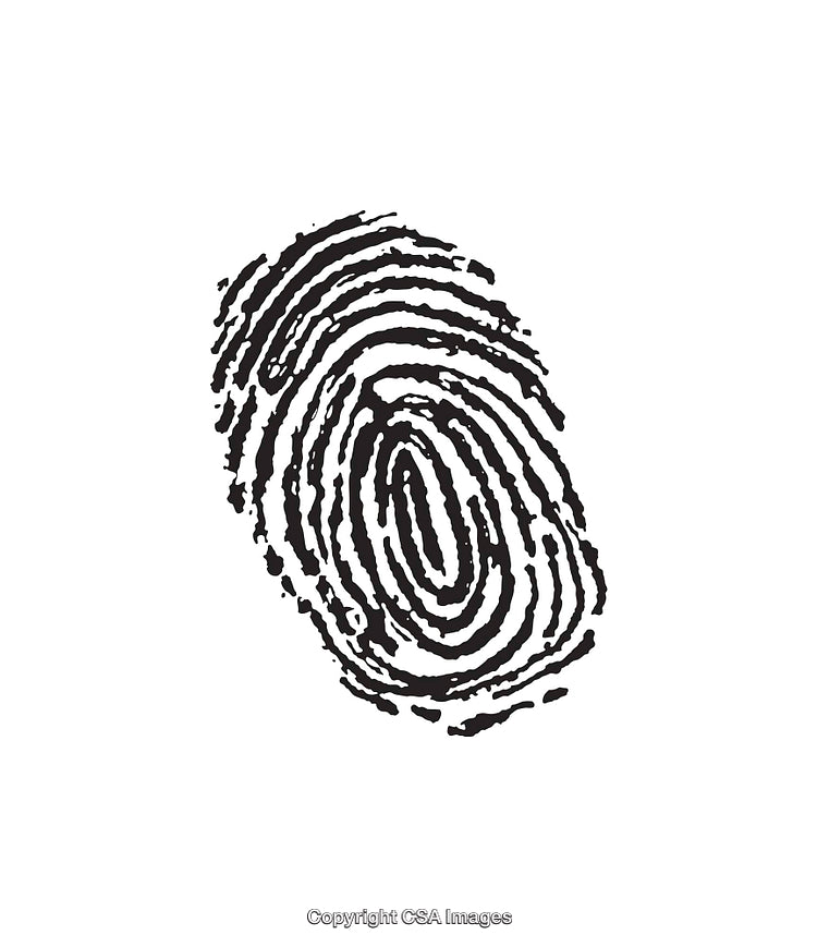 Detailed Black and White Fingerprint Illustration on White Background