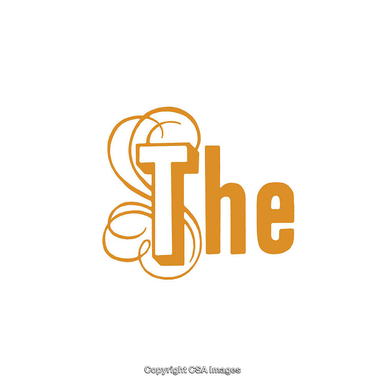 Orange Stylized 'The' Text With Elegant Swirl Accents on White Background