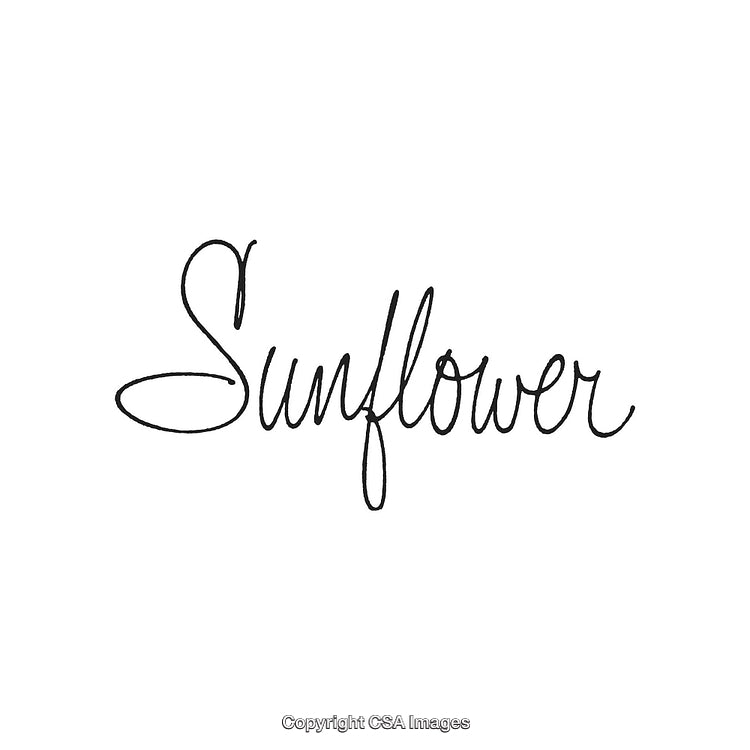 Elegant Handwritten Script of Sunflower Calligraphy on White