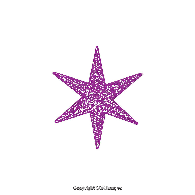 Purple Textured Eight-Pointed Star Symbol on White Background