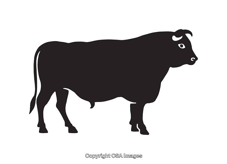 Black Silhouette of a Standing Bull Against a White Background