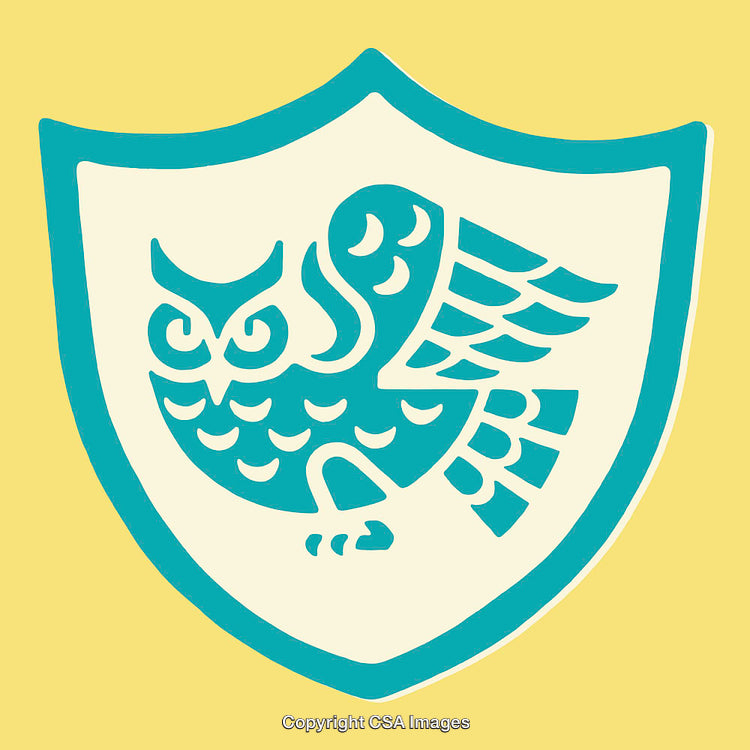 Stylized Owl Emblem Design in a Shield Motif on Yellow Background