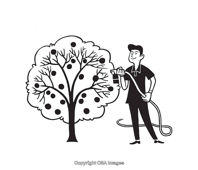 Illustration of a Person Watering a Fruit Tree in Black and White Line Art