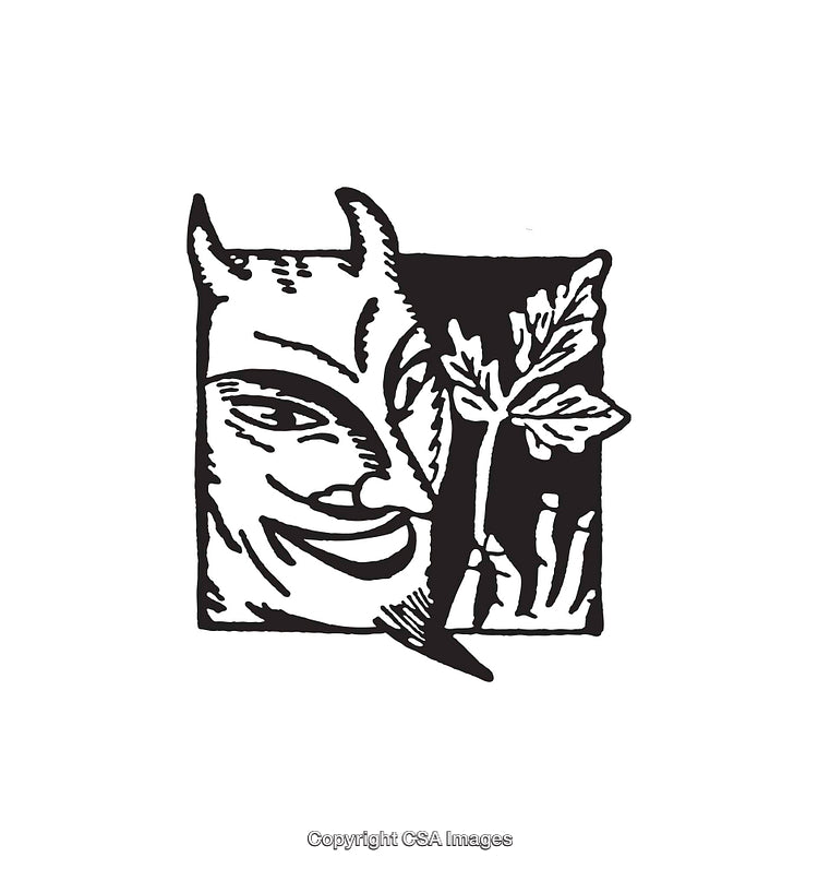 Stylized Black and White Illustration of a Mythical Figure and Plant