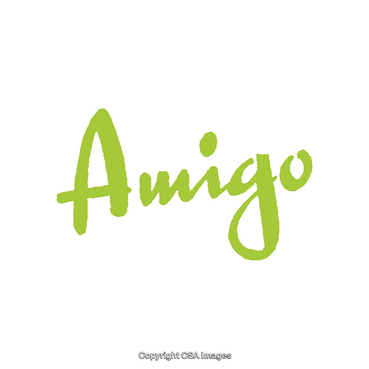 Green Amigo Handwritten Text on a White Background