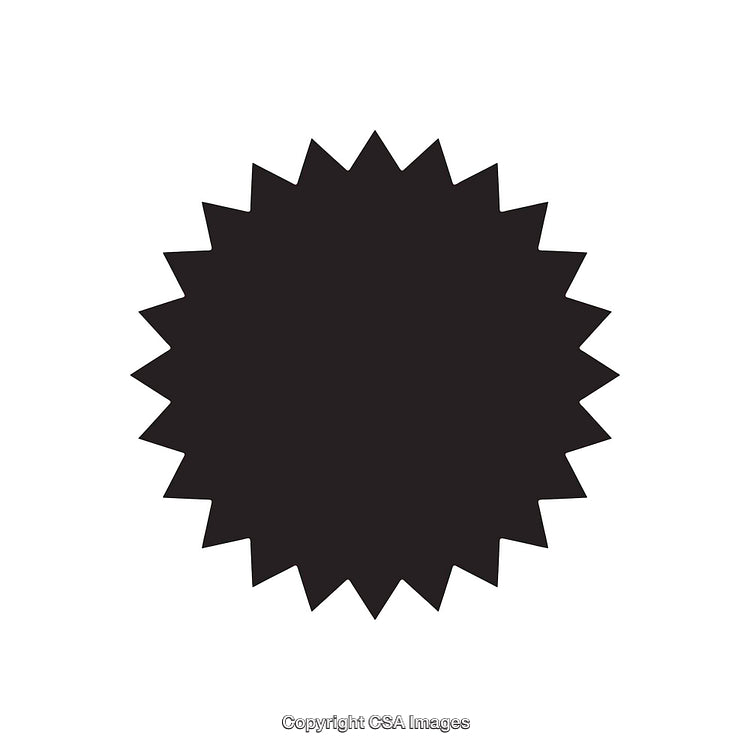 Black Abstract Sunburst Shape on a Solid White Background