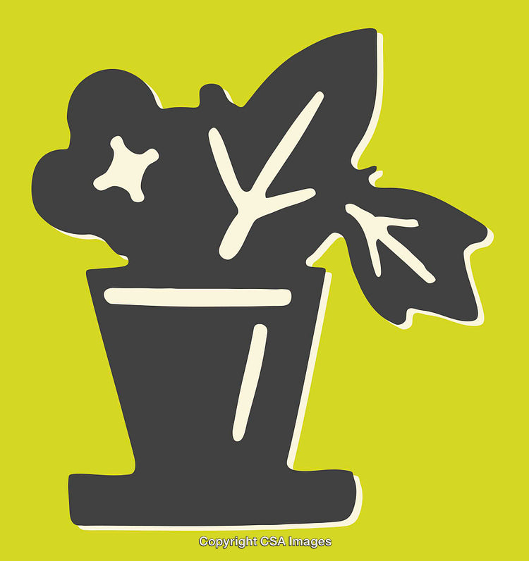 Stylized Potted Plant in Bold Graphic Line Illustration