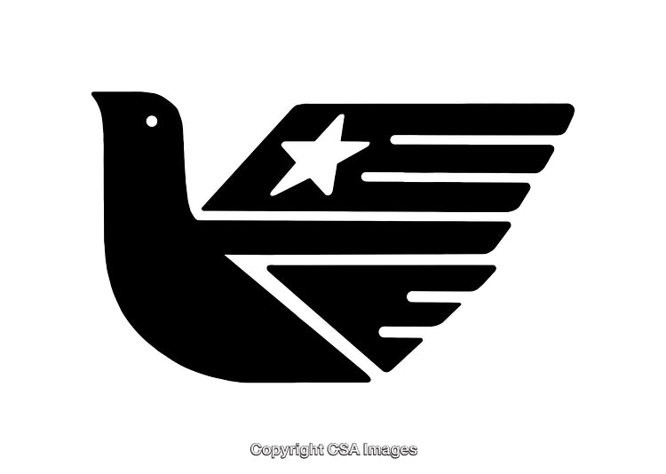Black and White Bird Icon With Star and Stripes Design