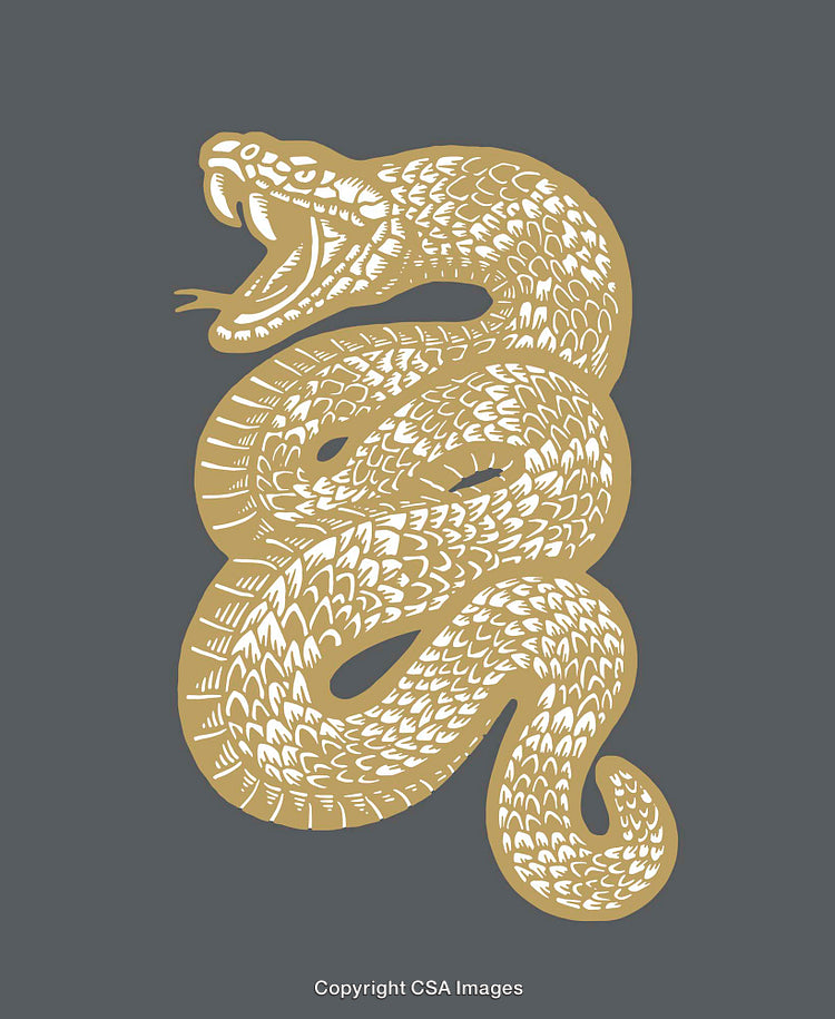 Golden Snake Illustration on Dark Background with Detailed Line Art