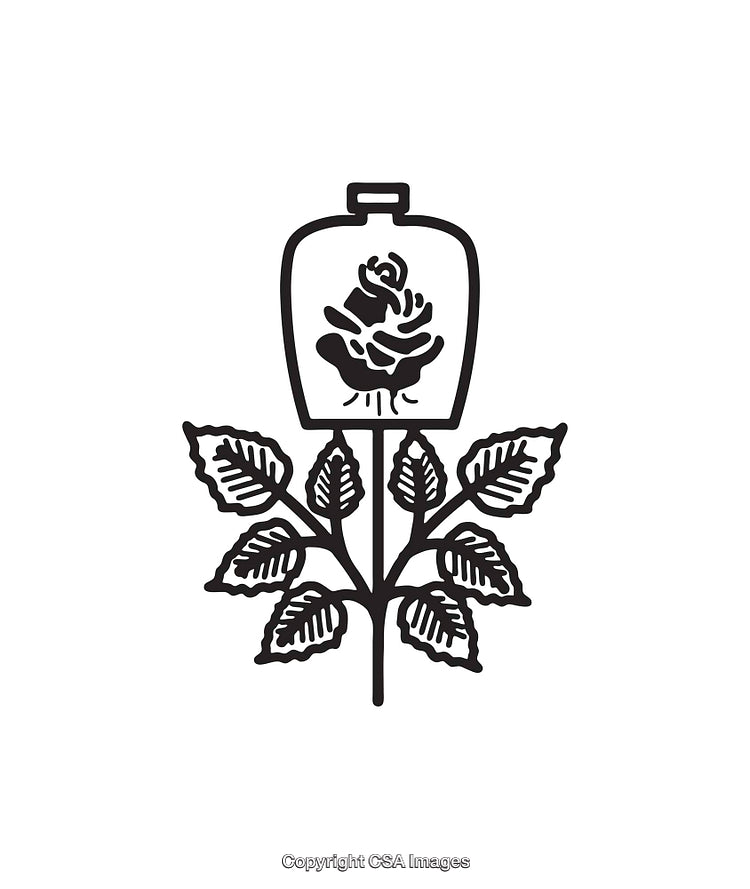 Elegant Line Art Illustration of a Rose Under a Glass Dome