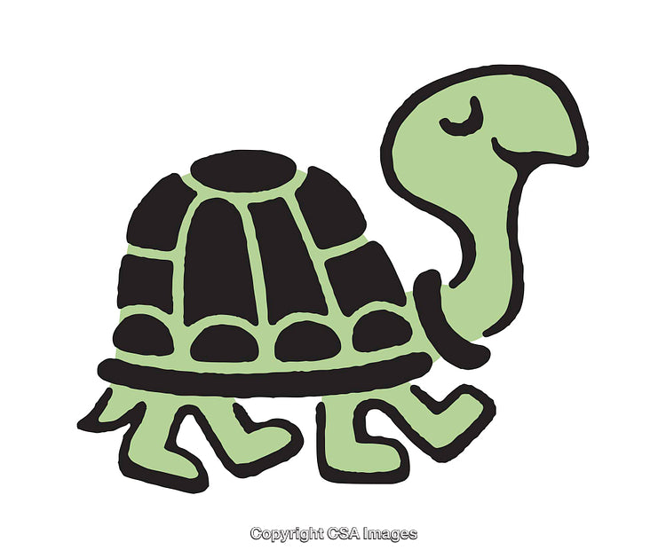 Charming Color Illustration of a Cheerful Cartoon Tortoise in Unique Style