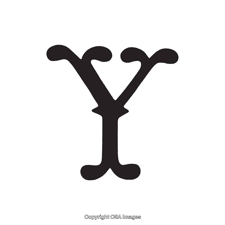 Decorative Capital Letter Y in an Ornate Serif Font Design
