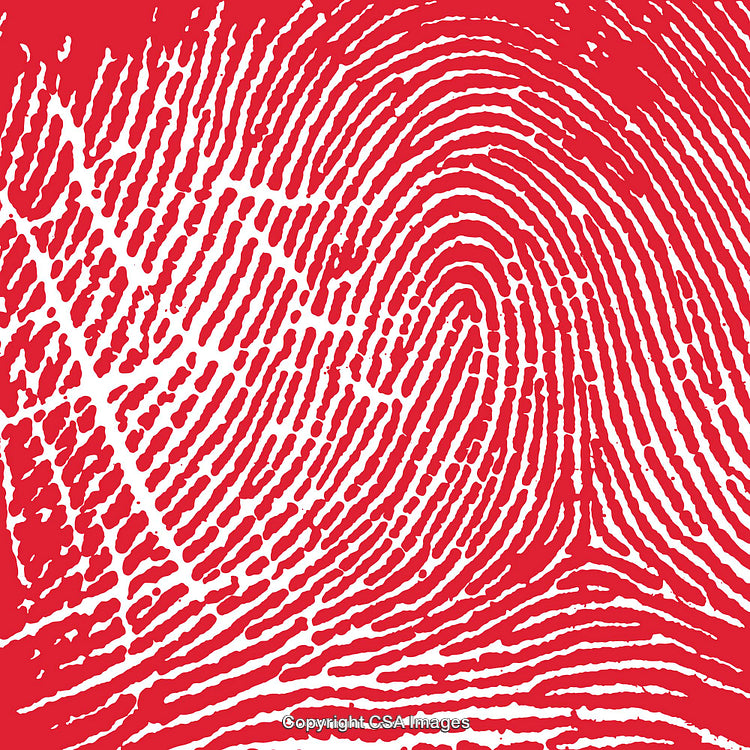 Close-Up of a Unique Fingerprint Pattern in Red and White