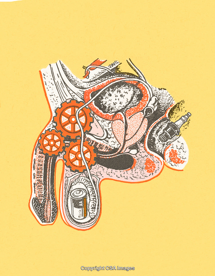 Abstract Illustration Anatomical and Industrial Elements in Vibrant Colors