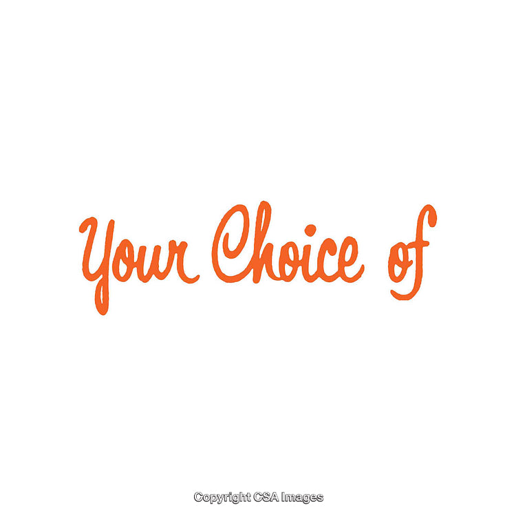 Orange Text Illustration Featuring the Phrase 'Your Choice of' in Script Font
