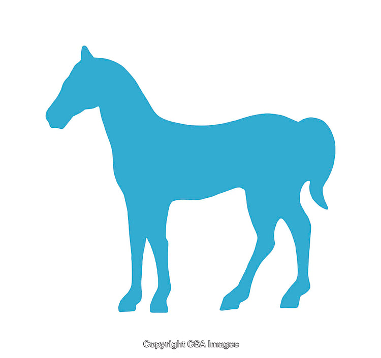 Blue Silhouette Icon of a Horse on a White Background