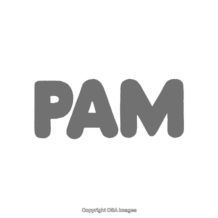 Bold Gray PAM Text on a Crisp White Background