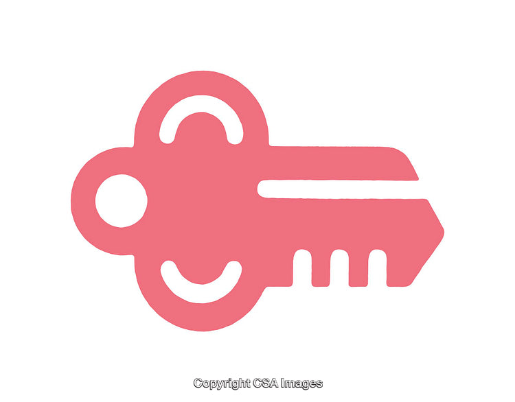 Simple Pink Key Icon Representing Security and Minimalistic Design