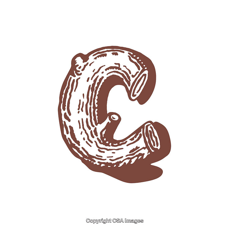 Brown Artistic Illustration of the Letter C with Rustic Wood Style