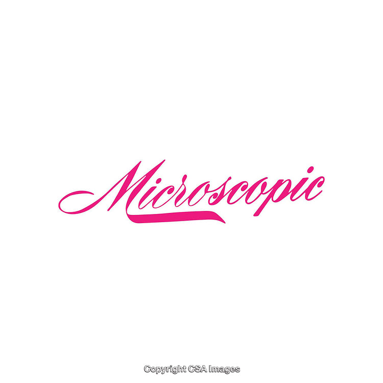 Stylish Pink Script Text on White Background for Modern Design