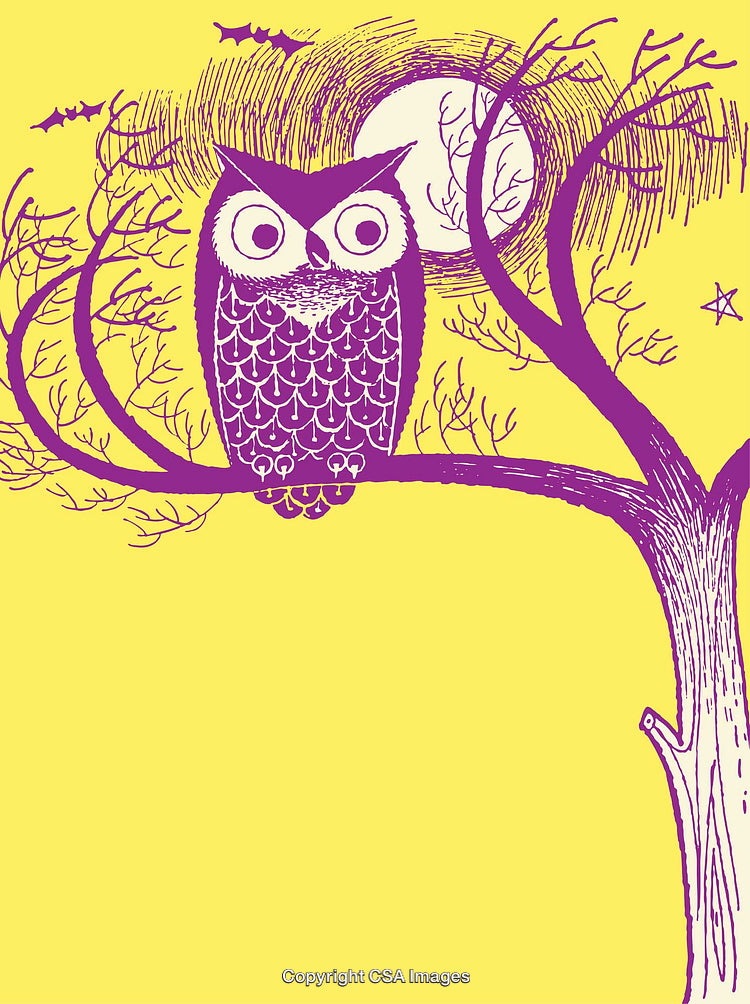 Stylized Owl Illustration in Vibrant Colors on a Tree Branch at Night