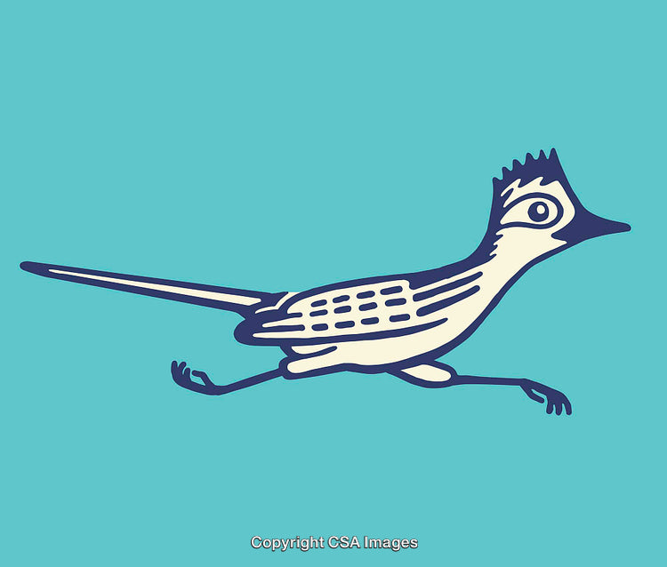 Stylized Line Art Illustration of a Running Roadrunner Bird