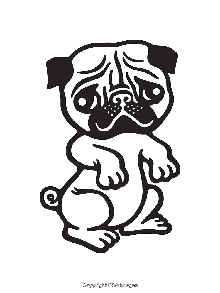 Cute Black and White Line Art Illustration of a Pug Dog