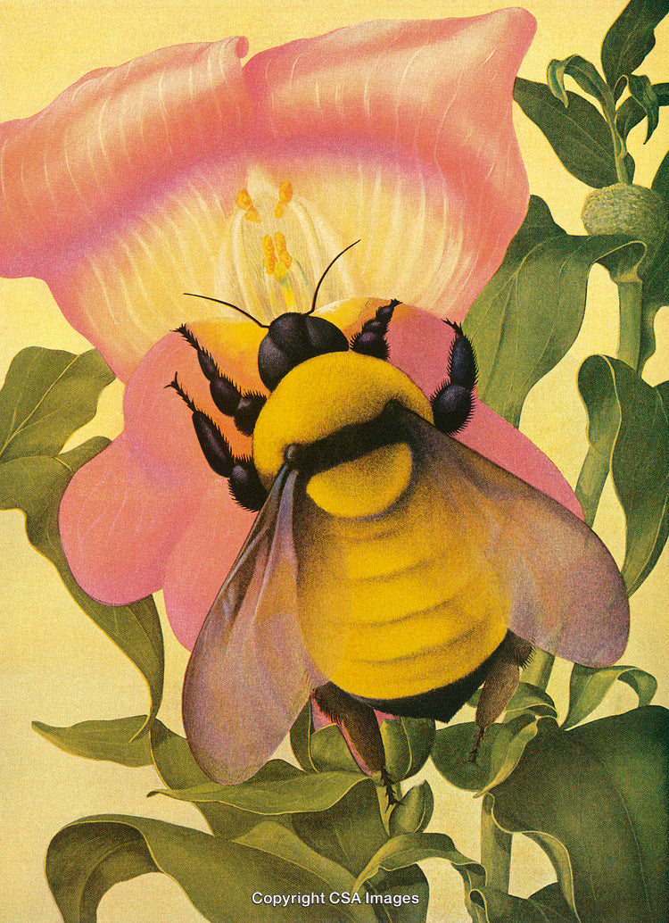 Detailed Illustration of a Bee Pollinating a Flower in Vibrant Colors