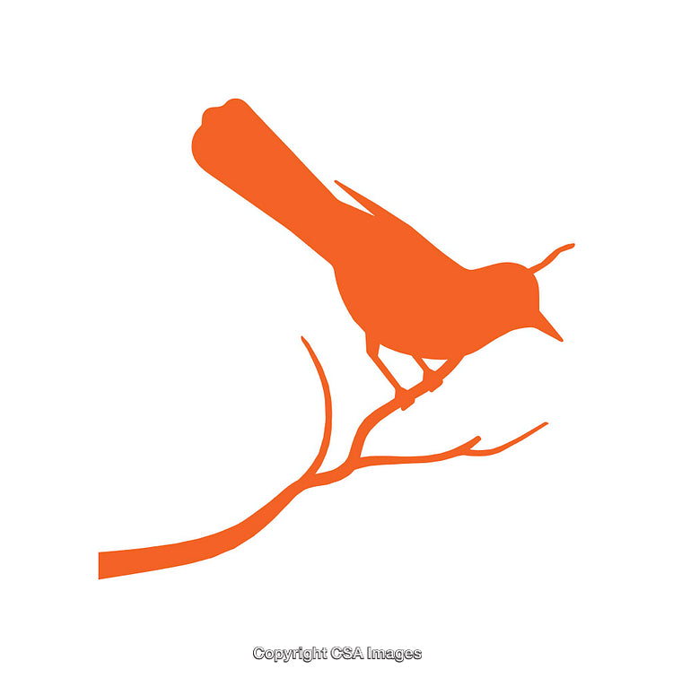 Silhouette Artwork of Bird Perched on Branch in High Contrast Style