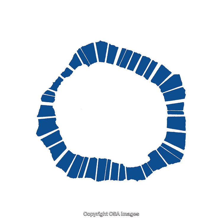 Abstract Blue Circular Design Composed of Broken Segments on White Background