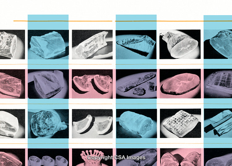 Colorful Collage Featuring Abstract Visuals and Contrasting Shapes