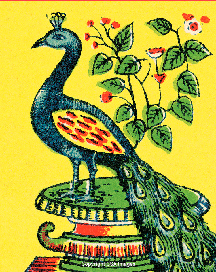 Colorful Peacock Illustration with Floral Background on Yellow Canvas