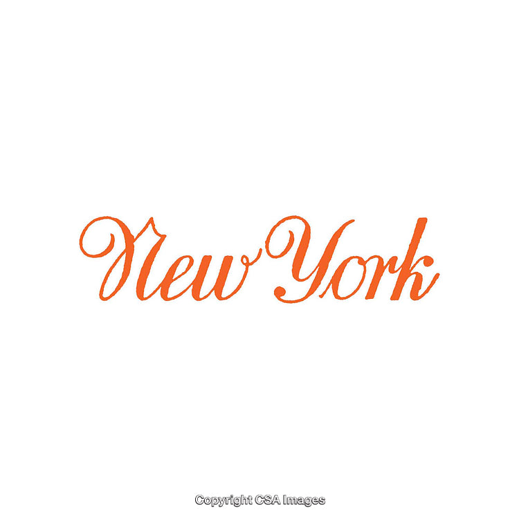 Elegant Script Text Depicting the Phrase New York in Orange